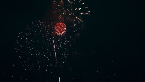 Fogos de artifício. — Vídeo de Stock