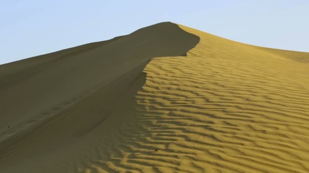 Песчаная дюна — стоковое видео