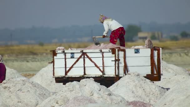 Zwaar werk. — Stockvideo