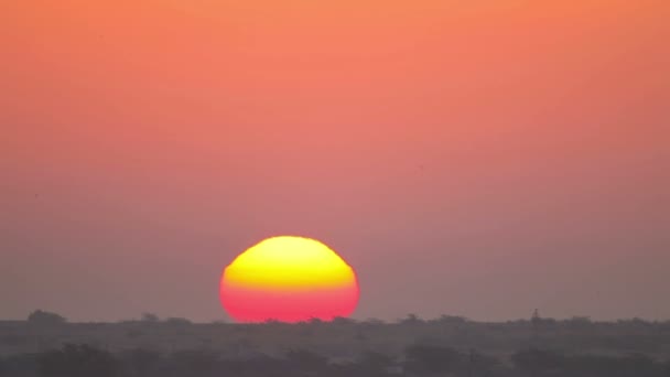 Amanecer indio — Vídeos de Stock