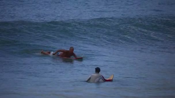 Surfistas com pranchas para surf — Vídeo de Stock