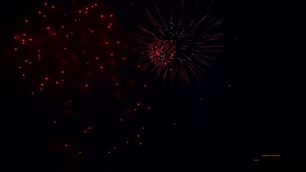 Feux d'artifice de fête . — Video