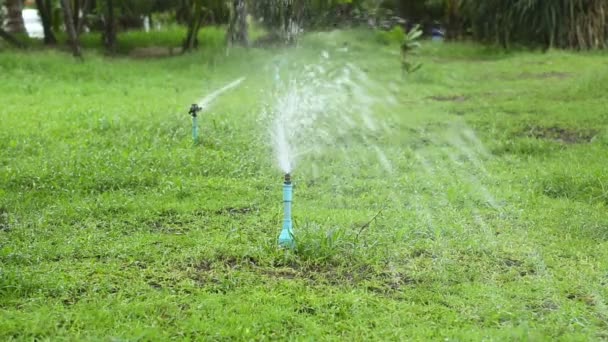 Разбрызгиватель, поливающий зеленую лужайку — стоковое видео