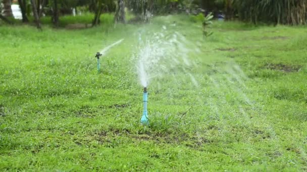 Trávník sprinklerů zalévání zelený trávník — Stock video