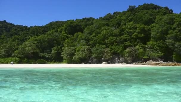 Similan Island beach — Stok video