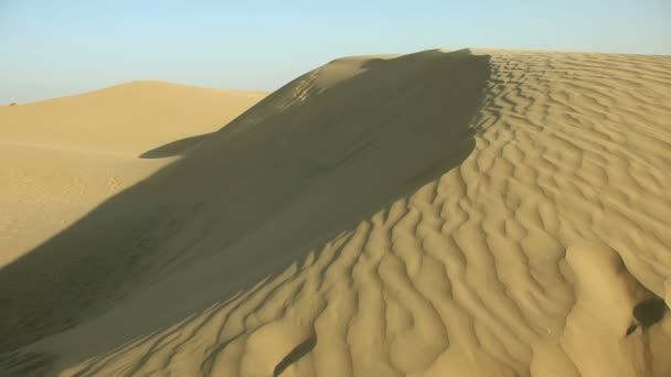 Песчаная дюна. — стоковое видео