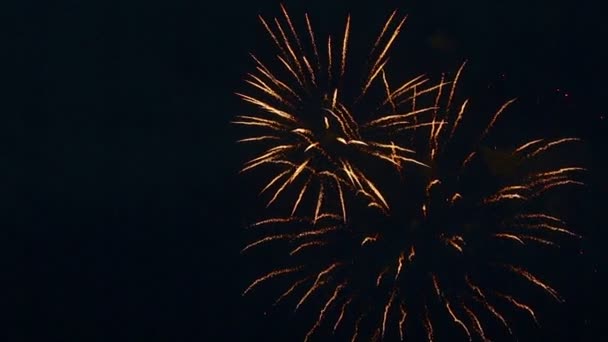 Fogos de artifício em férias — Vídeo de Stock