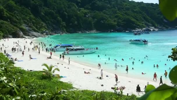 Similan Island beach — Stockvideo