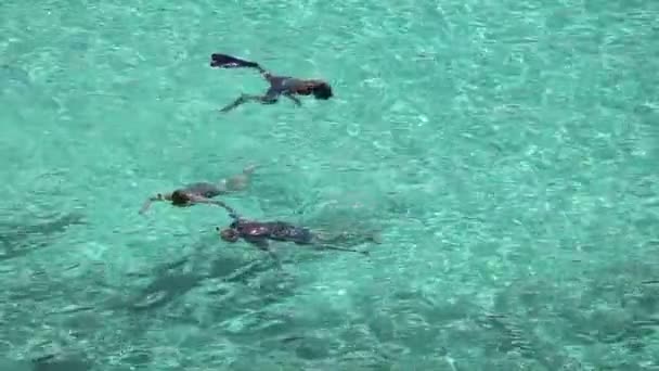 Lo snorkeling — Video Stock