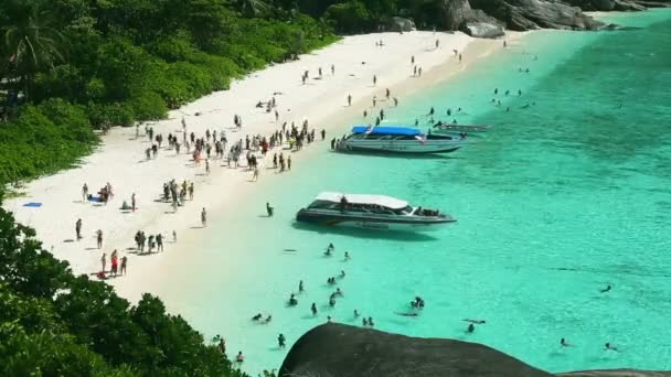 Similan Island beach — Stockvideo