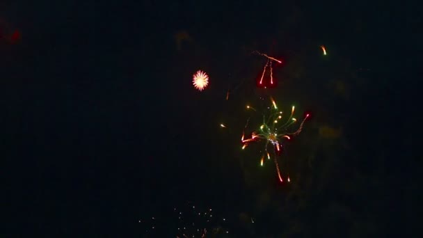 Fuochi artificiali — Video Stock