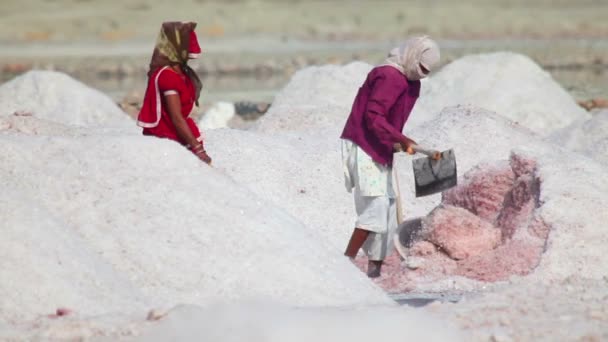 Mineração de sal — Vídeo de Stock