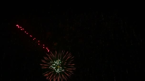 Fuegos artificiales artísticos . — Vídeo de stock