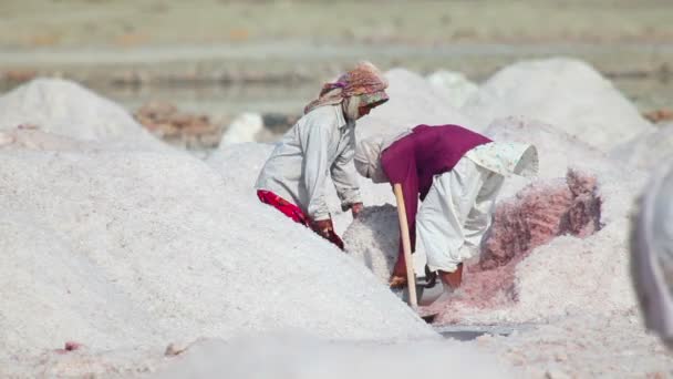 Mining salt in India — Stock Video