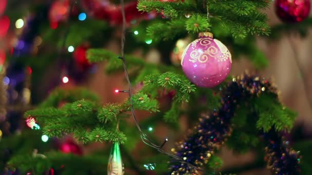 Рождественская ёлка — стоковое видео