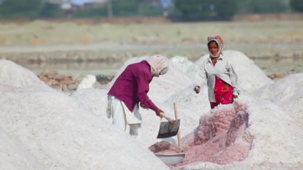 Minería de sal — Vídeos de Stock