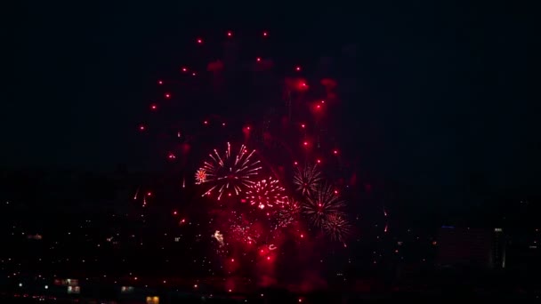 Fuochi artificiali — Video Stock