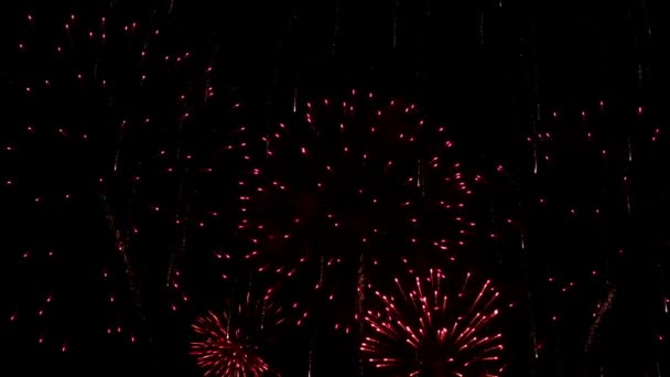 Festliches Feuerwerk — Stockvideo