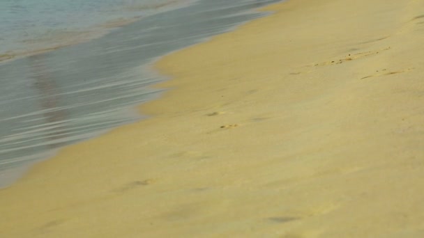 Playa del océano — Vídeos de Stock