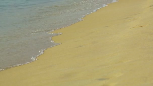 Vagues de la mer lavage plage de sable isolée . — Video