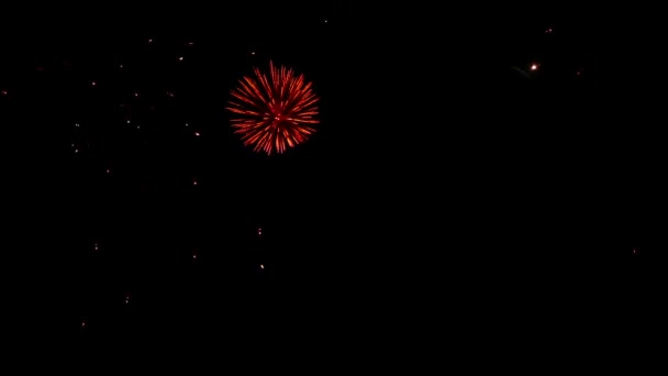 Fogos de artifício piscando no céu noturno — Vídeo de Stock