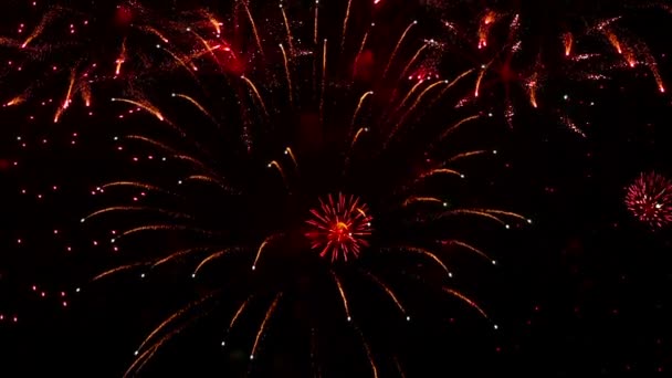 Fireworks flashing in the night sky — Stock Video