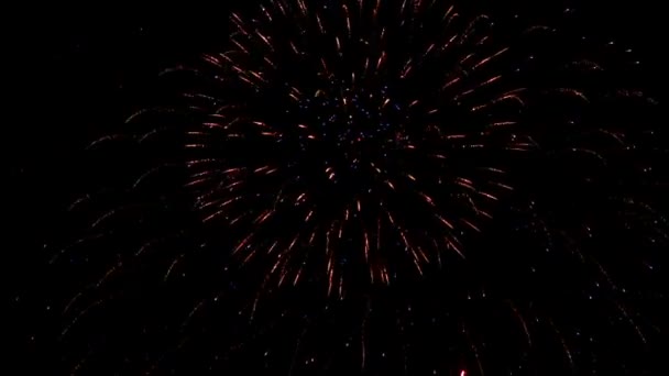 Fogos de artifício — Vídeo de Stock