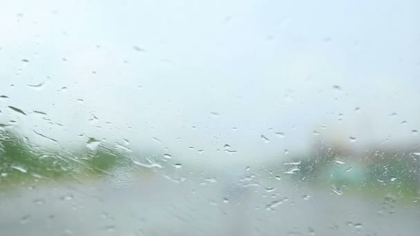 Fahren im Regen — Stockvideo