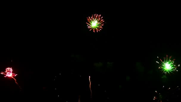 Fuegos artificiales — Vídeo de stock