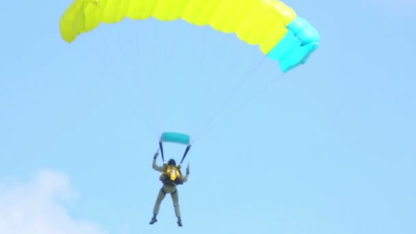 Paragliding — Stock Video