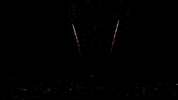 Fogos de artifício — Vídeo de Stock