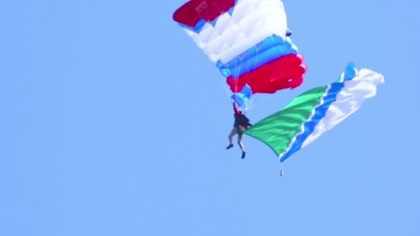 Paragliding — Stockvideo