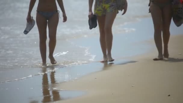 Semesterfirare på stranden — Stockvideo