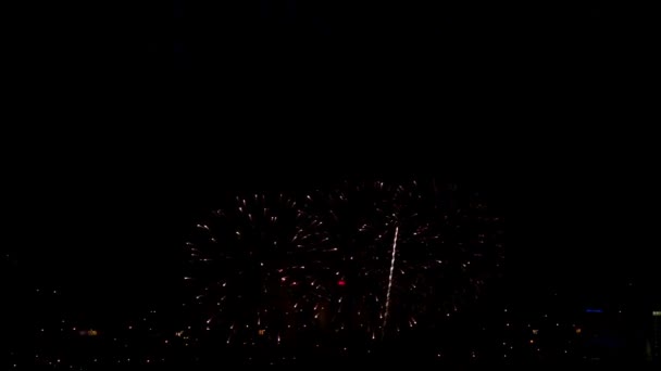 Fireworks — Stock Video