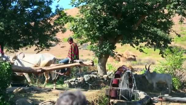 Bomba de água — Vídeo de Stock