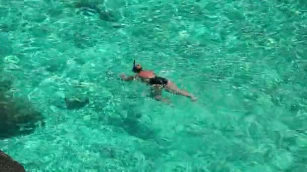 Lo snorkeling — Video Stock