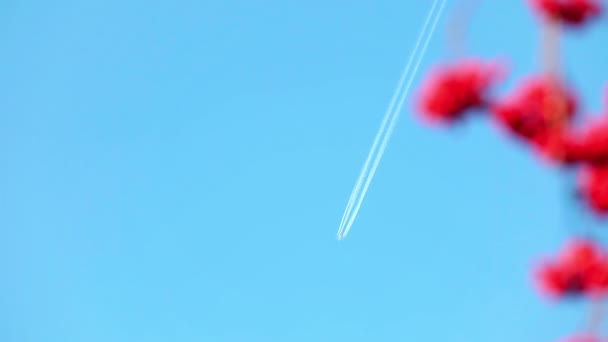 ジェット飛行機飛行機雲 — ストック動画