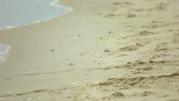 Plage de sable fin 