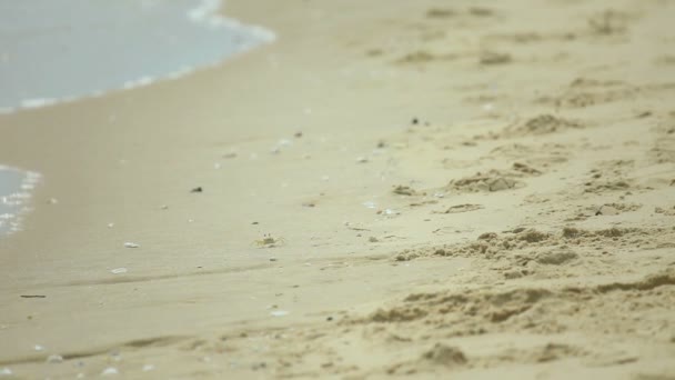 Playa de arena — Vídeos de Stock