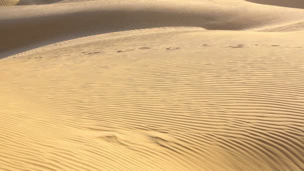 Dunas de arena — Vídeo de stock