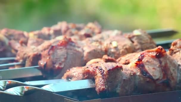 Fleisch auf dem Grill — Stockvideo