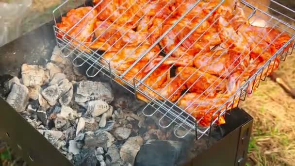 Barbecue con ali di pollo — Video Stock