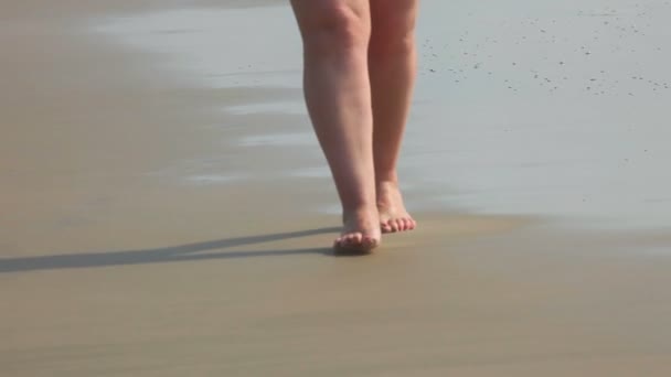 Mulher na praia. — Vídeo de Stock