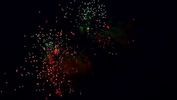 Feuerwerk am Nachthimmel. — Stockvideo
