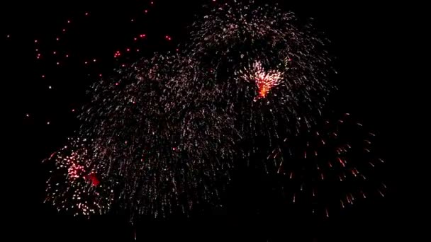 Fogos de artifício no céu — Vídeo de Stock