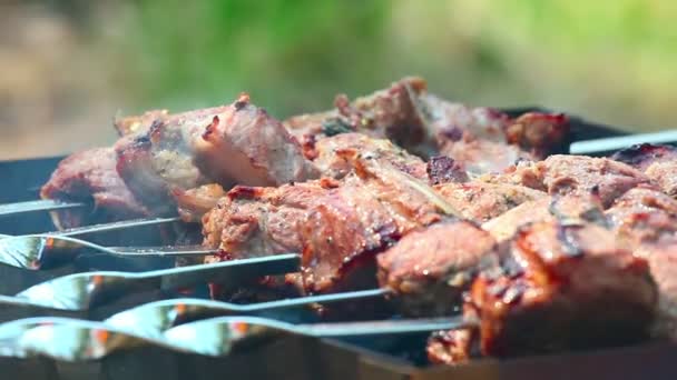 Barbecue on grill — Stock Video