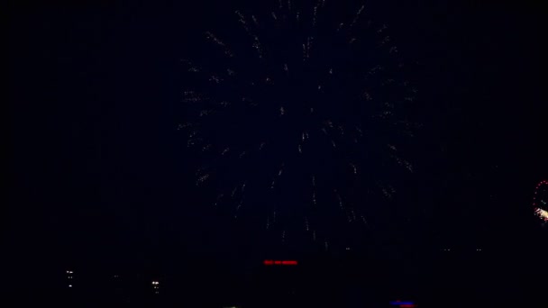 Feux d'artifice dans le ciel — Video