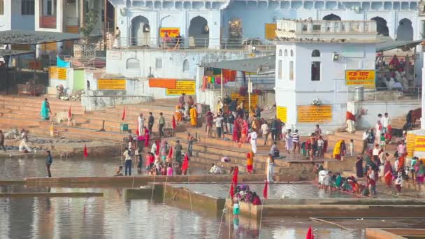 Lago Pushkar — Vídeo de stock