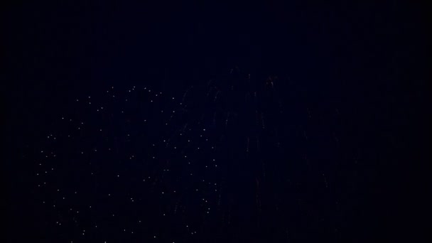 Fogos de artifício no céu — Vídeo de Stock