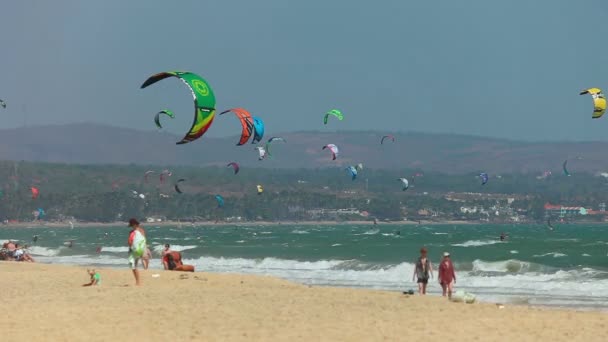 在海滩放风筝 — 图库视频影像